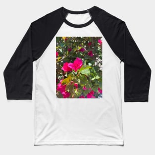 Fuchsia Bougainvillea Baseball T-Shirt